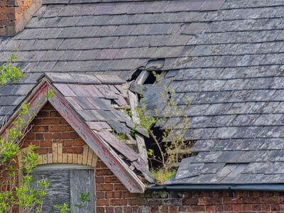 Professional water damage restoration services in Thornton Heath - 24/7 Property Rescue